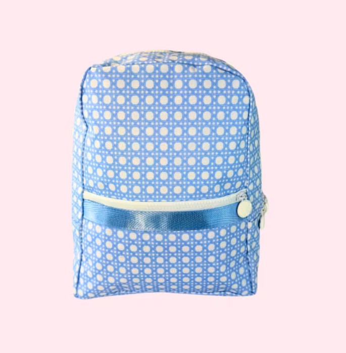 Wipeable Small Backpack by Mint