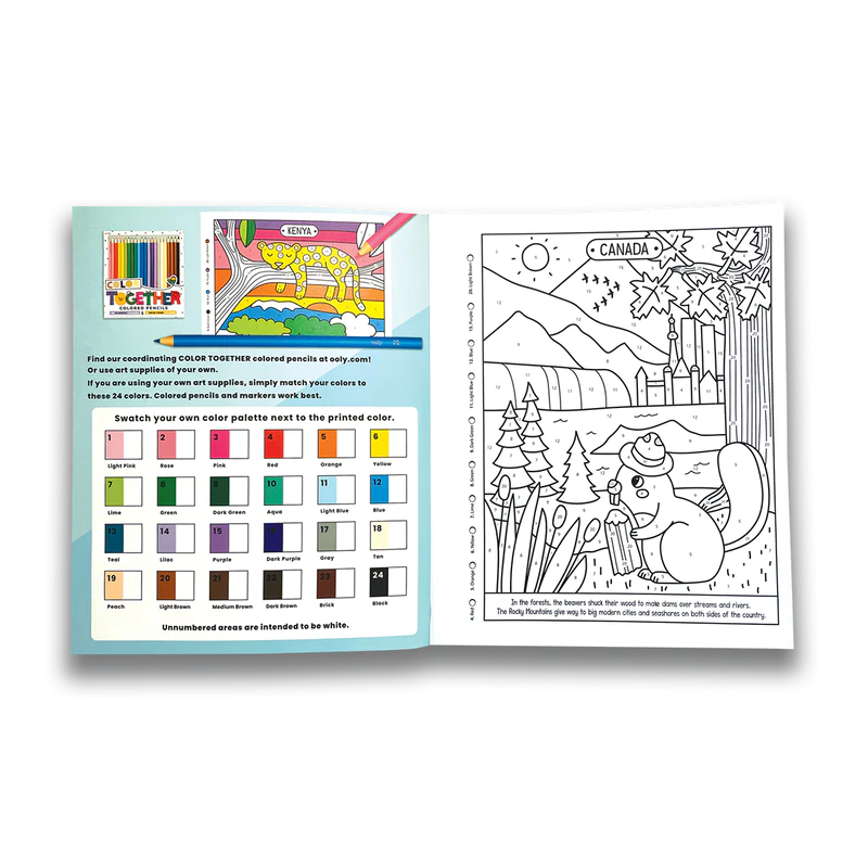 Color By Numbers Coloring Book Wonderful World