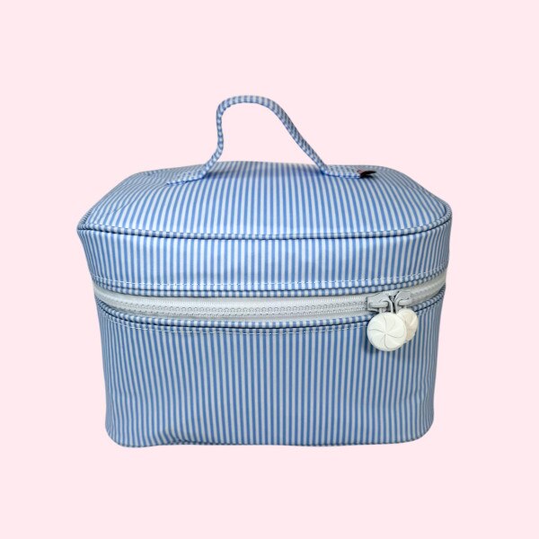 Train Case by Mint