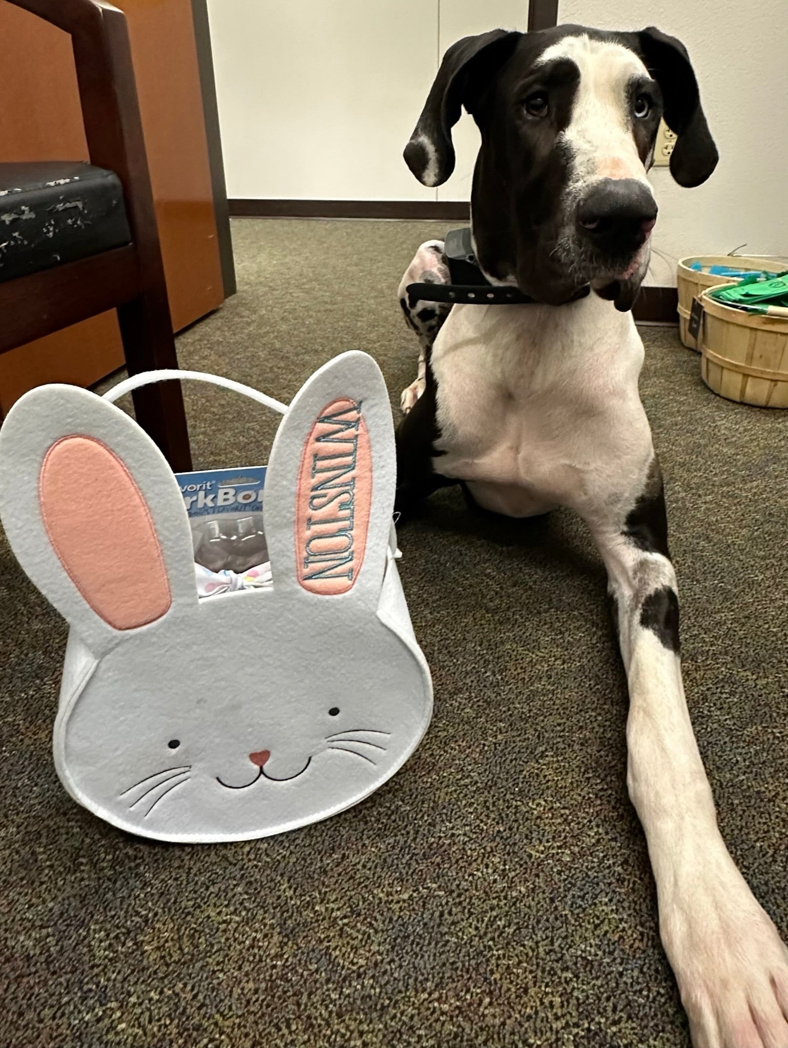 Bunny Easter Basket with Pom Pom Tail