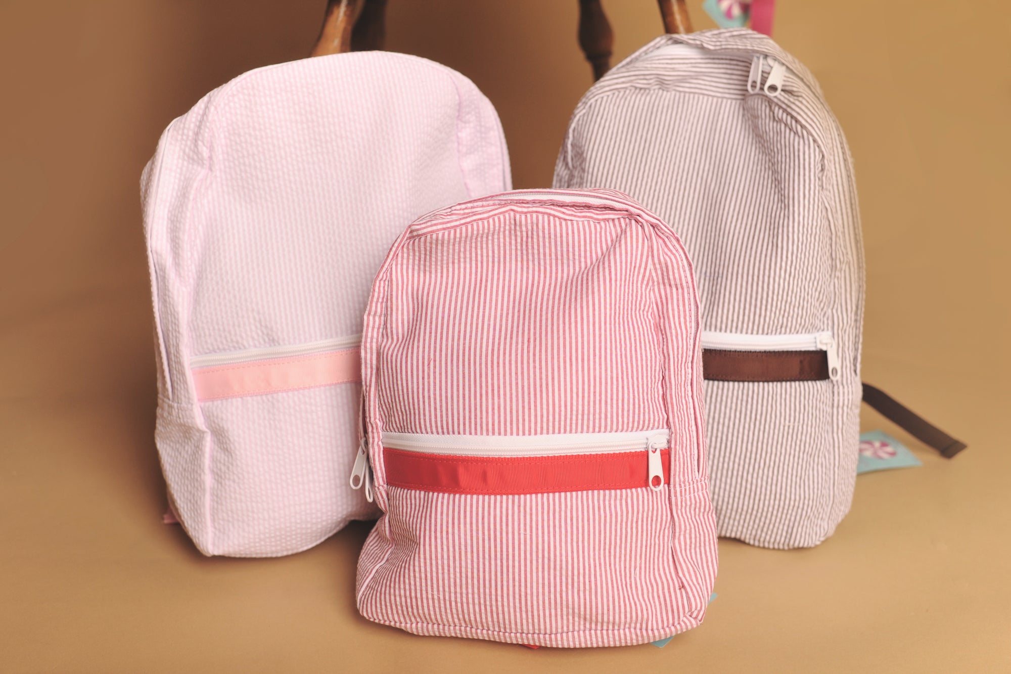 Medium Sized Backpack by Mint